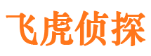 和田私家侦探